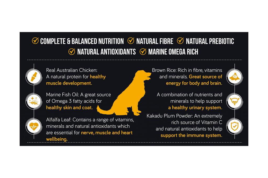 Talentail Premium Chicken with Brown Rice Dog Food