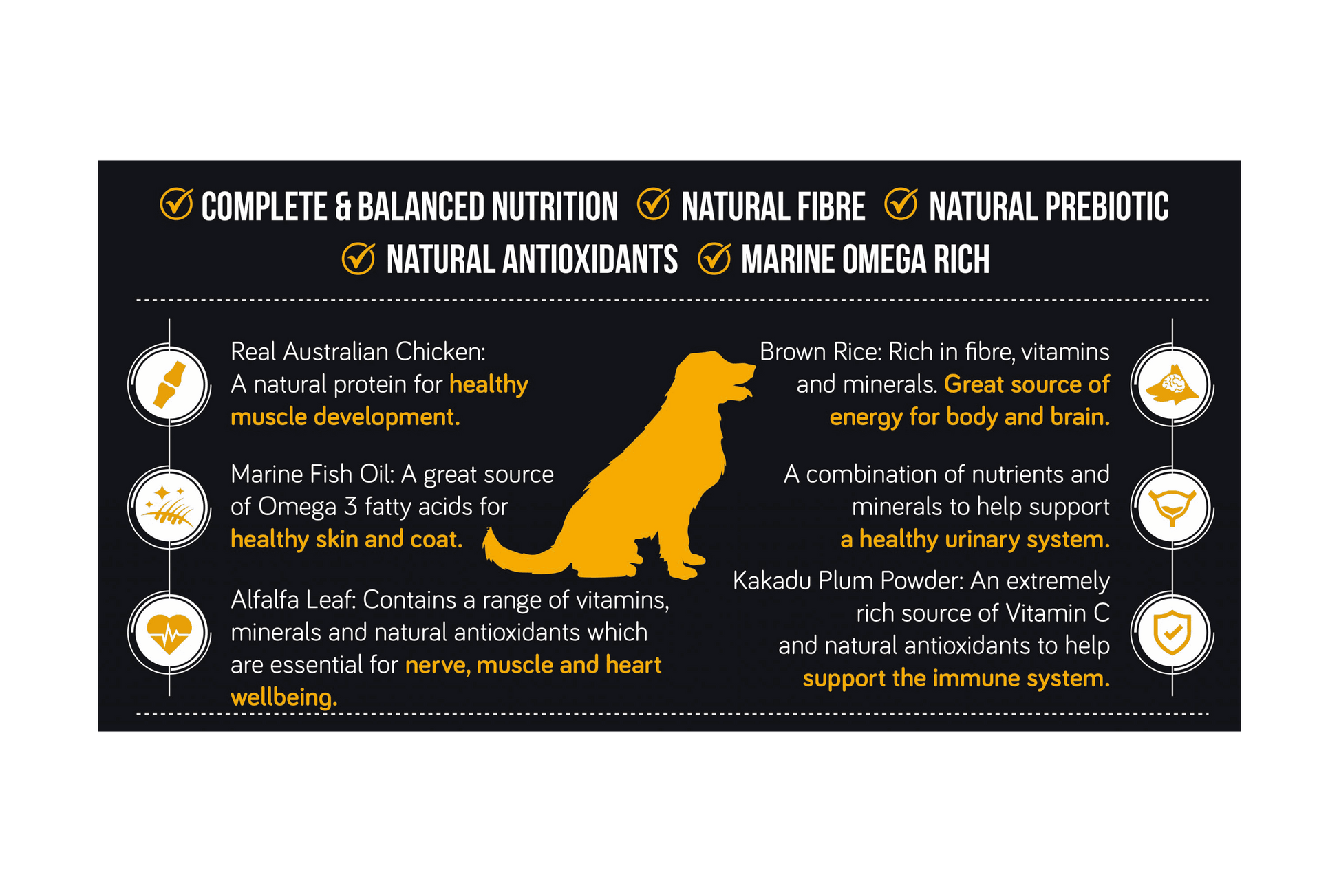 Talentail Premium Chicken with Brown Rice Dog Food