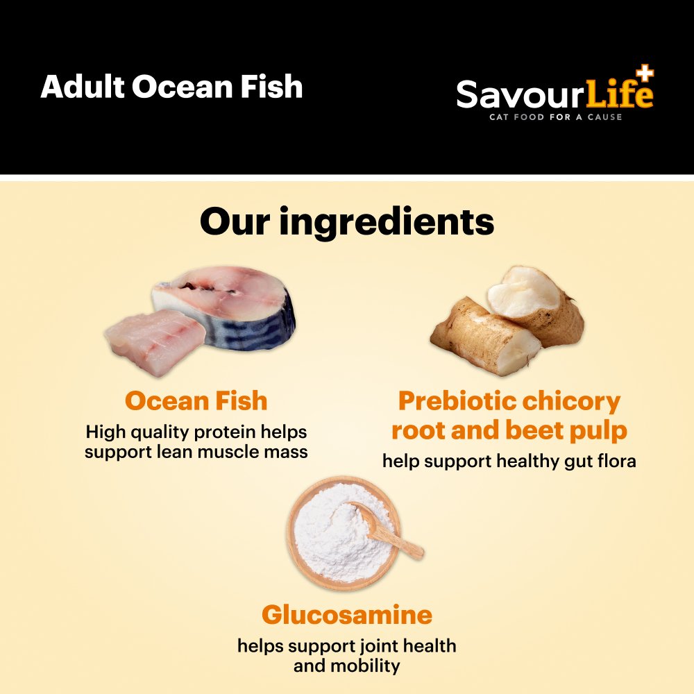 Savourlife Ocean Fish Adult Dry Cat Food