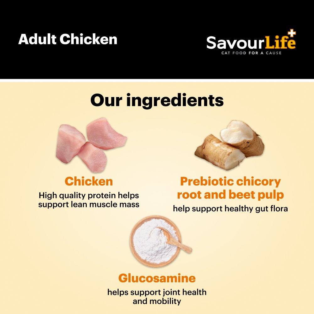 Savourlife Chicken Adult Dry Cat Food