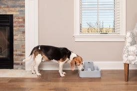 PetSafe Drinkwell 3.7L Pet Fountain