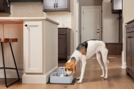 PetSafe Drinkwell 3.7L Pet Fountain