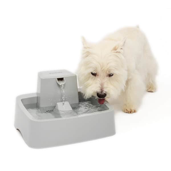 PetSafe Drinkwell 3.7L Pet Fountain