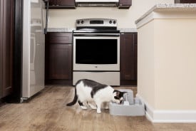 PetSafe Drinkwell 3.7L Pet Fountain
