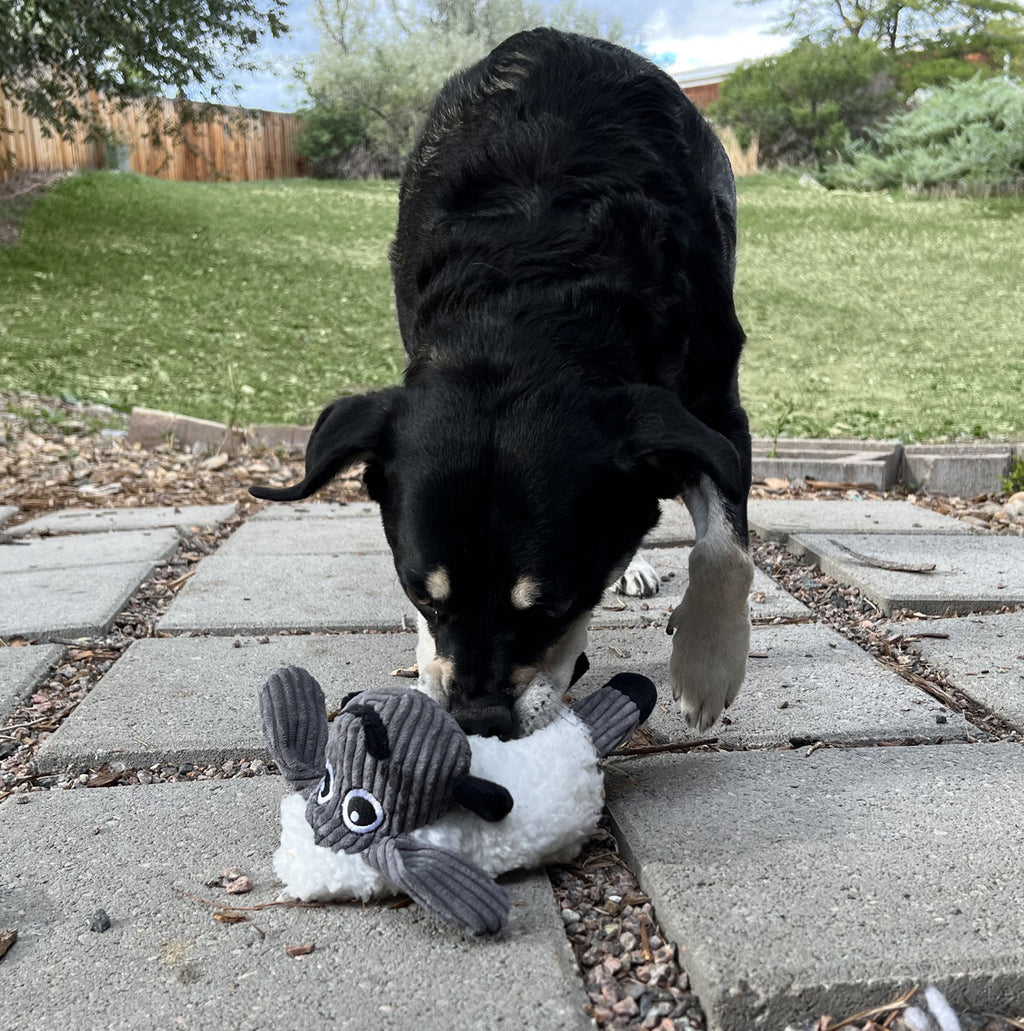 Kong Dog Toy Sherps Floofs Sheeps