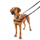 Halti Front Control Harness Black/Red