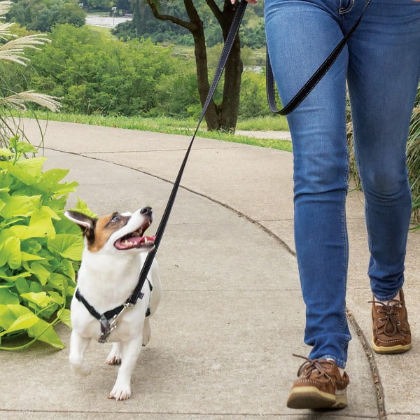 PetSafe 3 in 1 Harness & Car Restraint Black