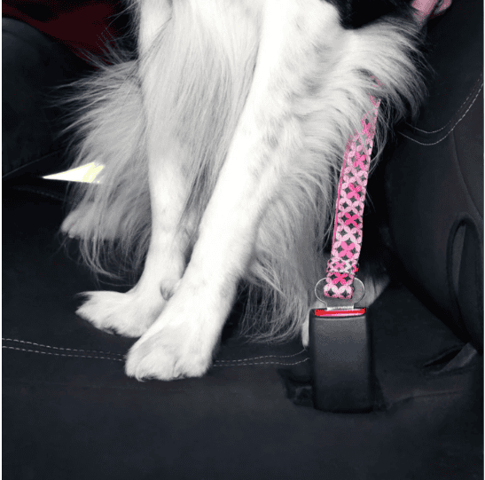 Doog Car Restraint