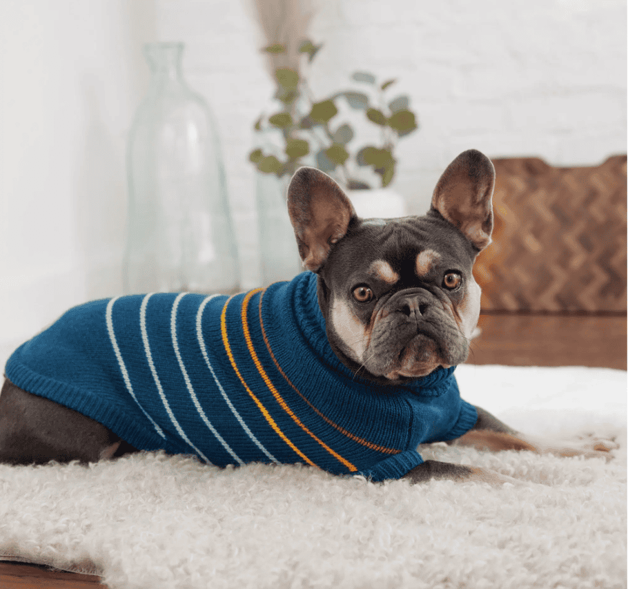 GF Pet Arctic Dog Sweater - Dark Teal