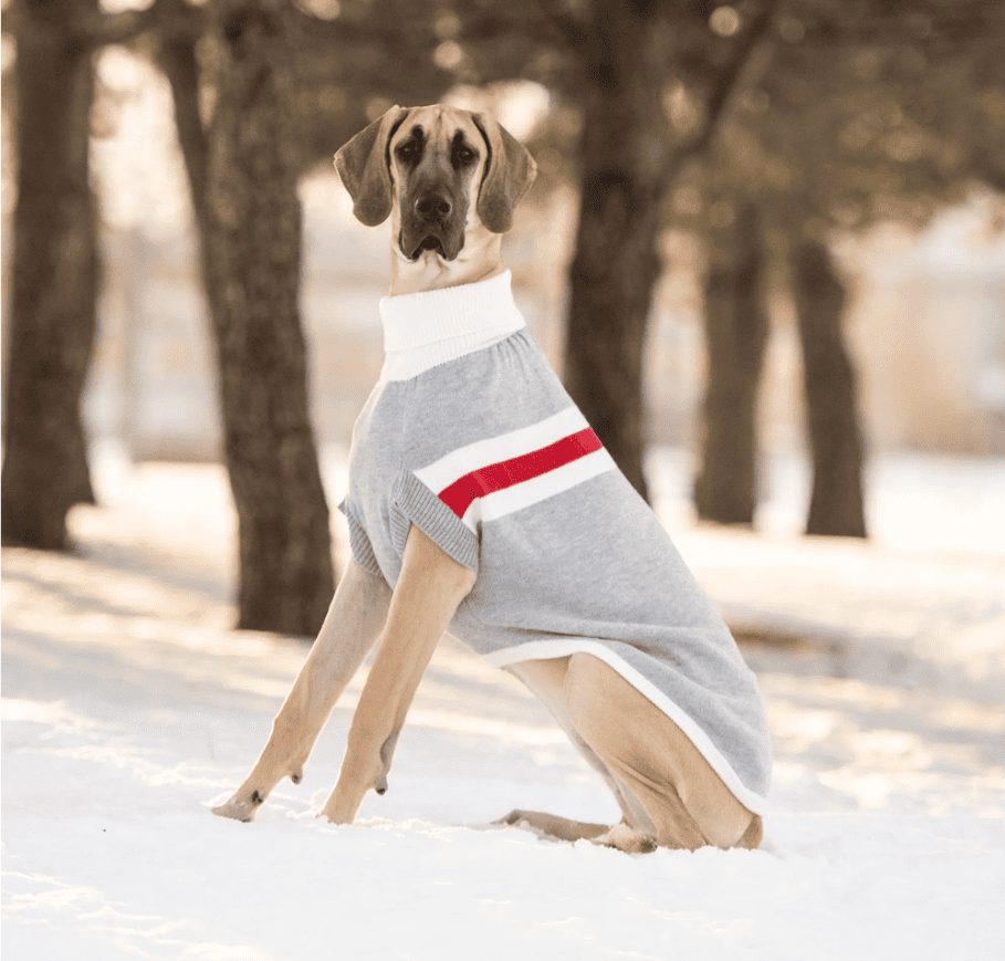 GF Pet Trekking Dog Sweater - Grey Mix