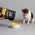 SavourLife Adult Dog Grain Free Chicken