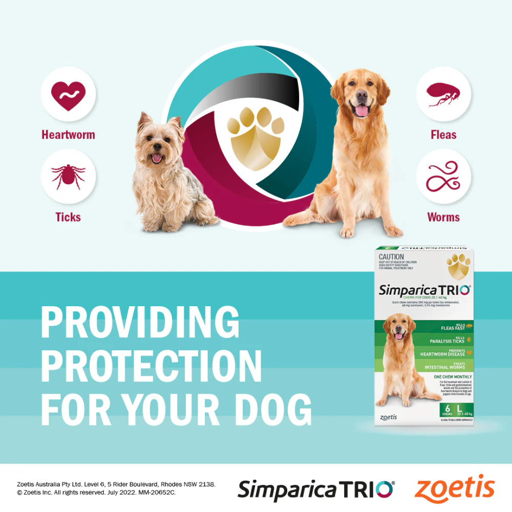 Simparica Trio 20.1 - 40 kg For Large Dog Health Green