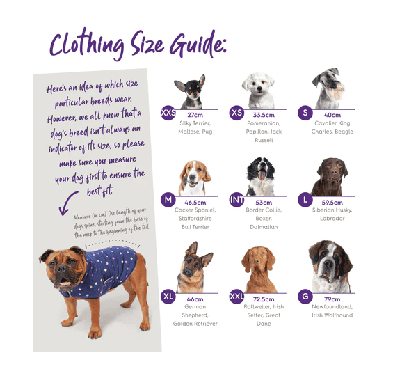 Kazoo Dog Black Adventure Coat XXS