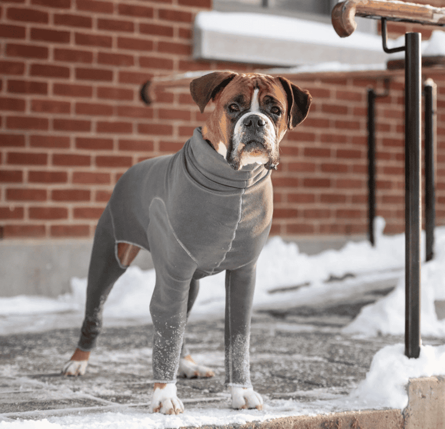 GF Pet Gondola Dog Onesie - Charcoal