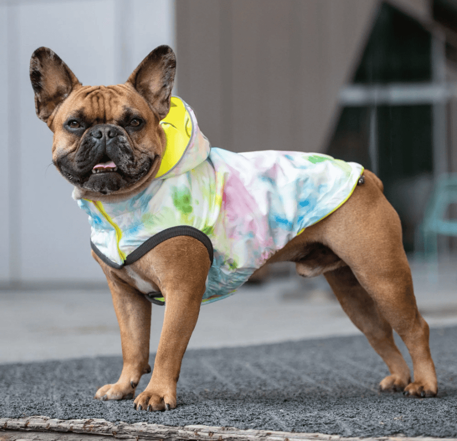 GF Pet Elasto-Fit Reversible Raincoat - Neon Yellow/Soft Tie Dye (Medium)