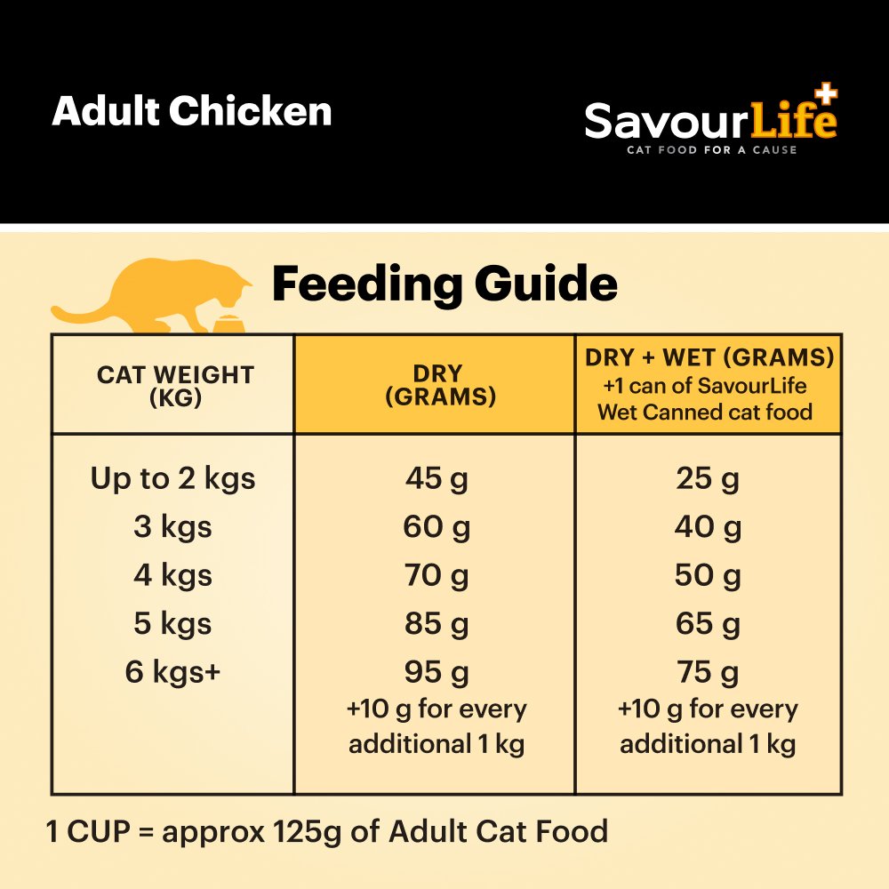 Savourlife Chicken Adult Dry Cat Food
