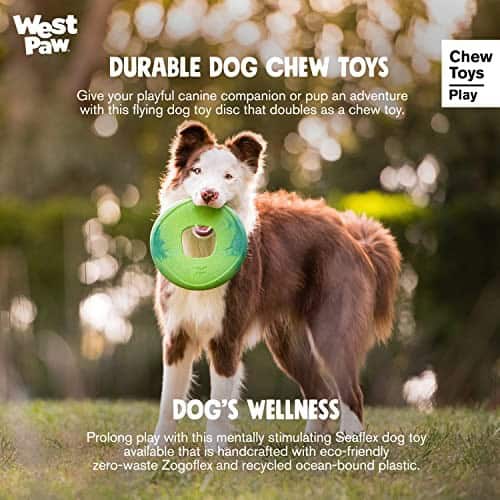 West Paw Sailz Flying Chew Toy