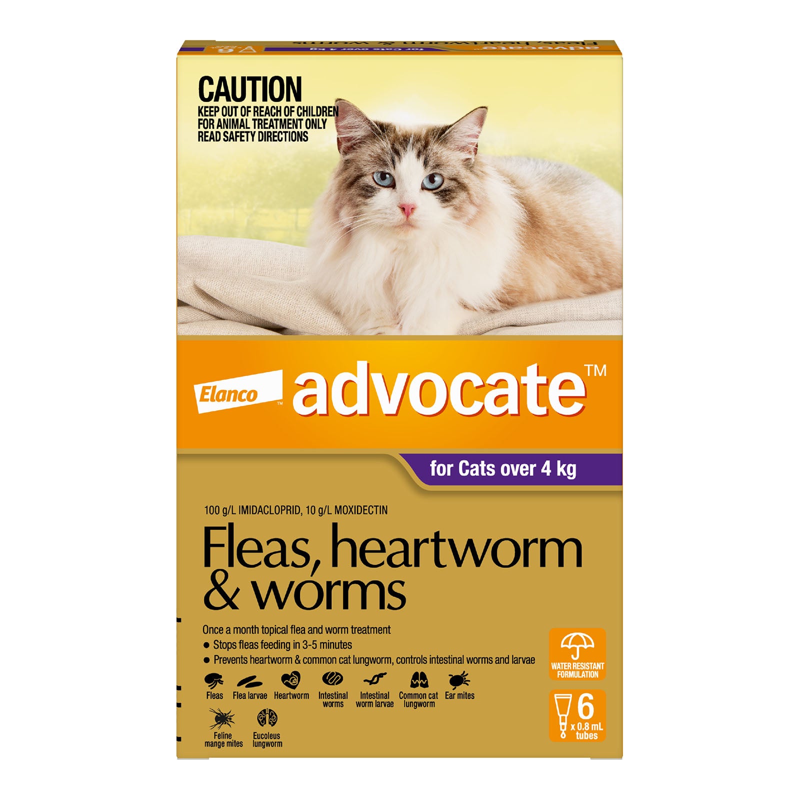 Advocate Cat Large 4kg+ Purple