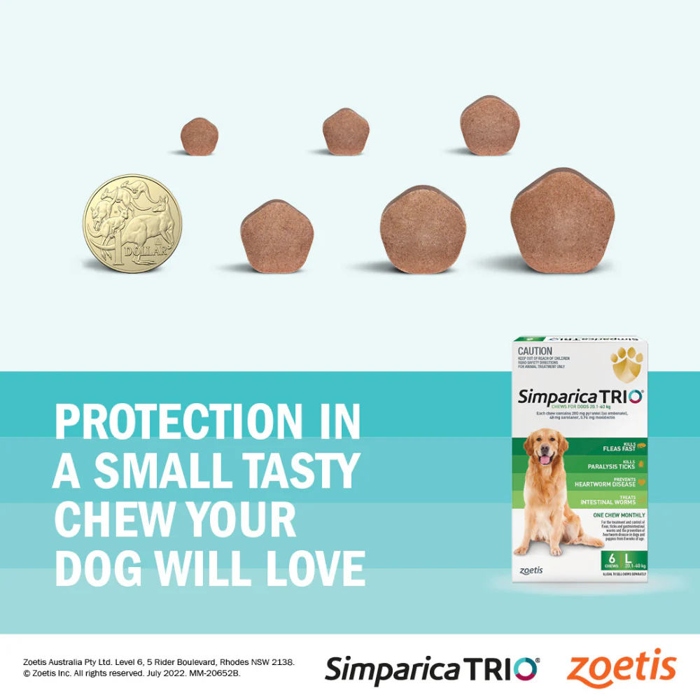 Simparica Trio 20.1 - 40 kg For Large Dog Health Green