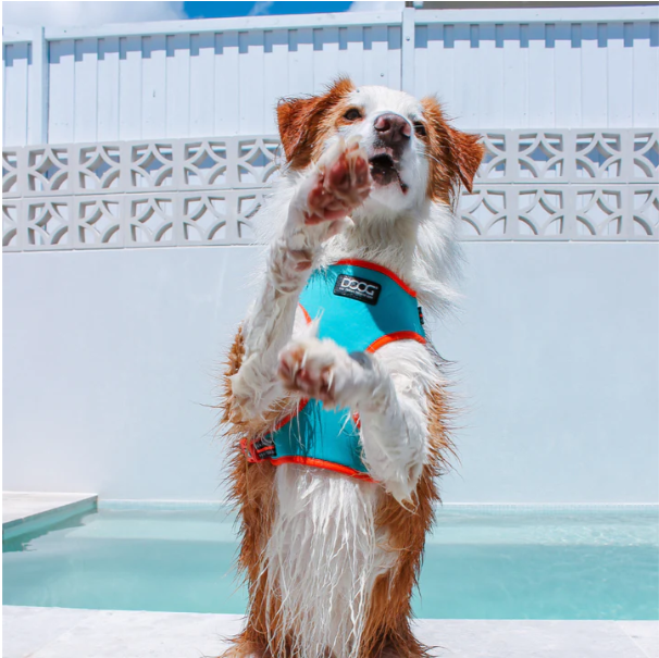 Doog Neoflex Dog Harness - Beethoven (Neon)