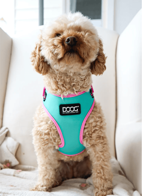 Doog Neoflex Dog Harness - Rin Tin Tin (Neon)