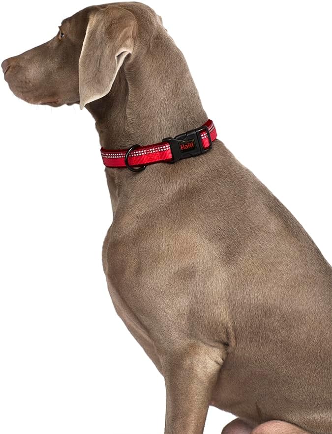 Halti Comfort Dog Collar