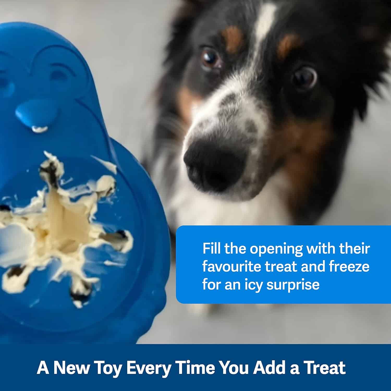 Petsafe Penguin Dog Chew Toy