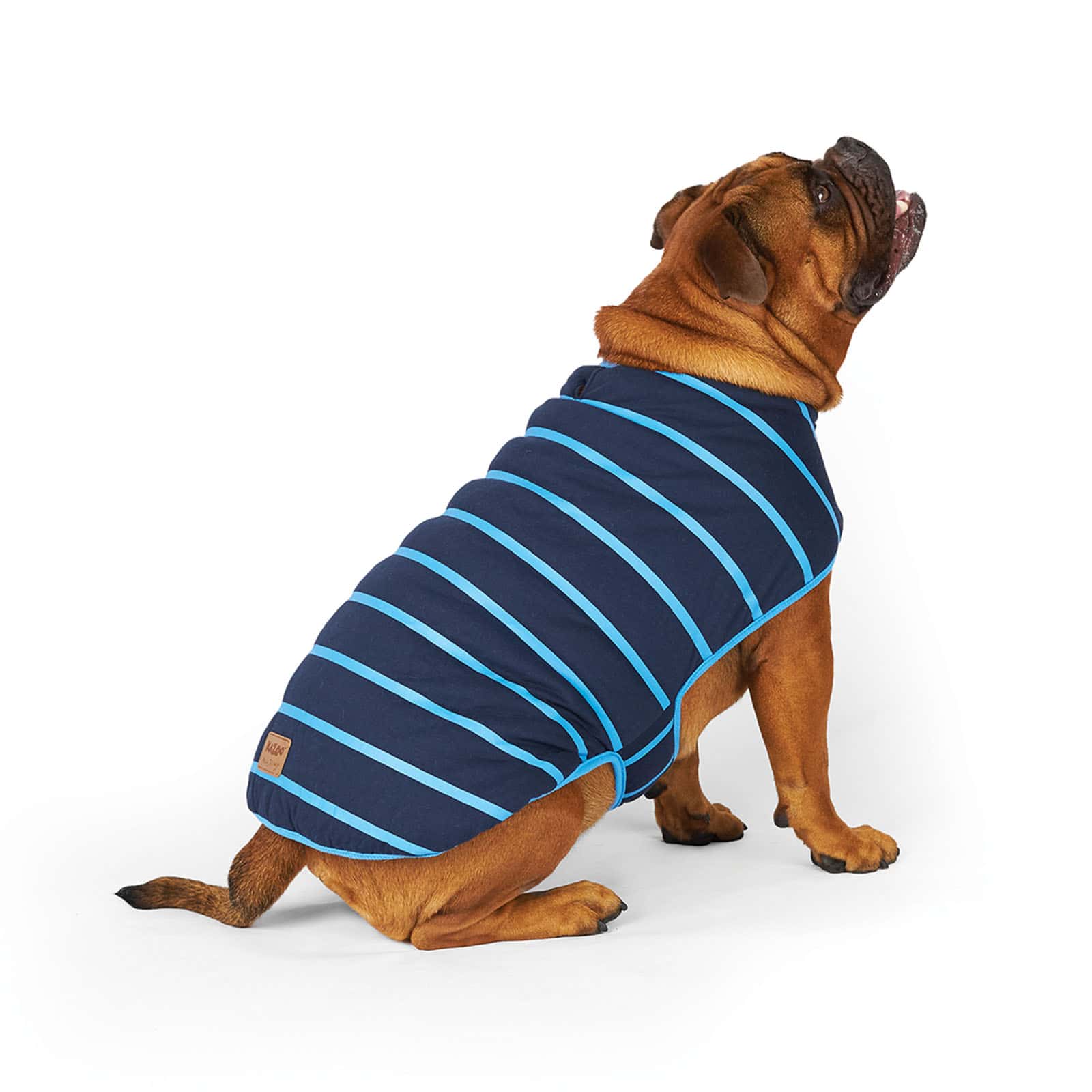 Kazoo Dog Blue Stripe Reversible Snuggie