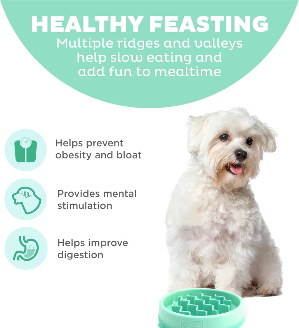 Outward Hound Fun Feeder Wave Slow Feeder Dog Bowl Extra Small - Mint