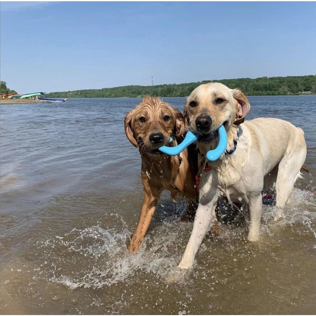 West Paw Bumi Fetch Toy