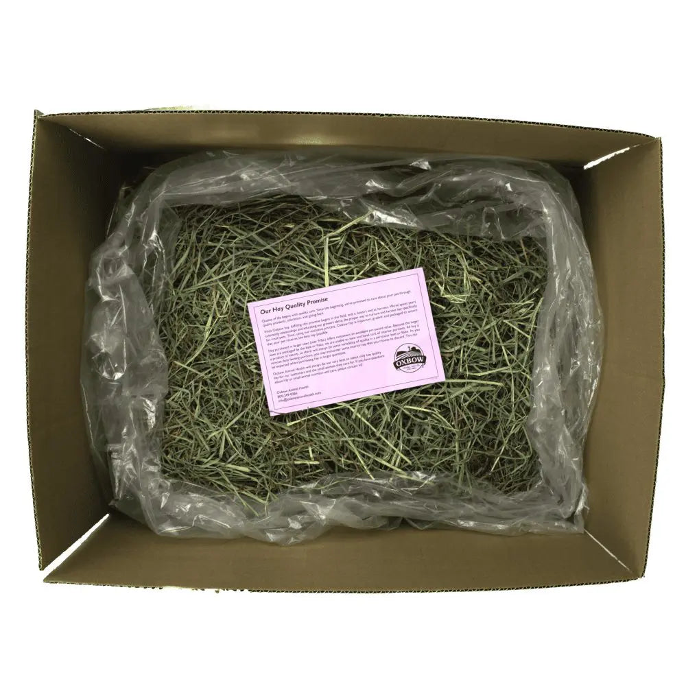Oxbow Orchard Grass Hay
