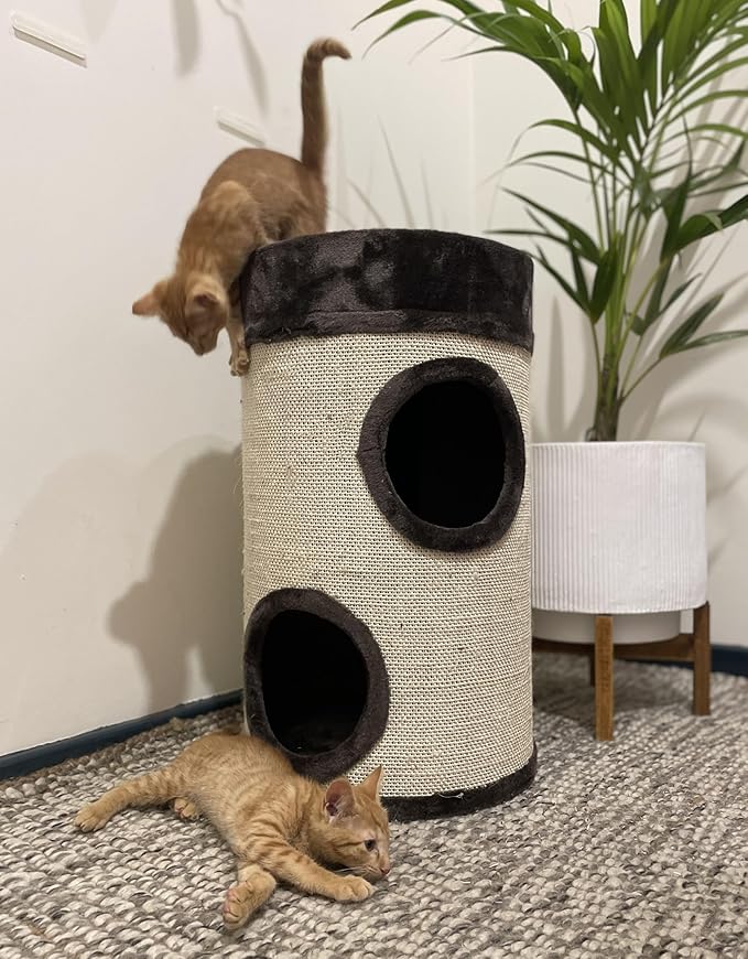 Cattitude Cat Scratch Hideaway Mini Drum