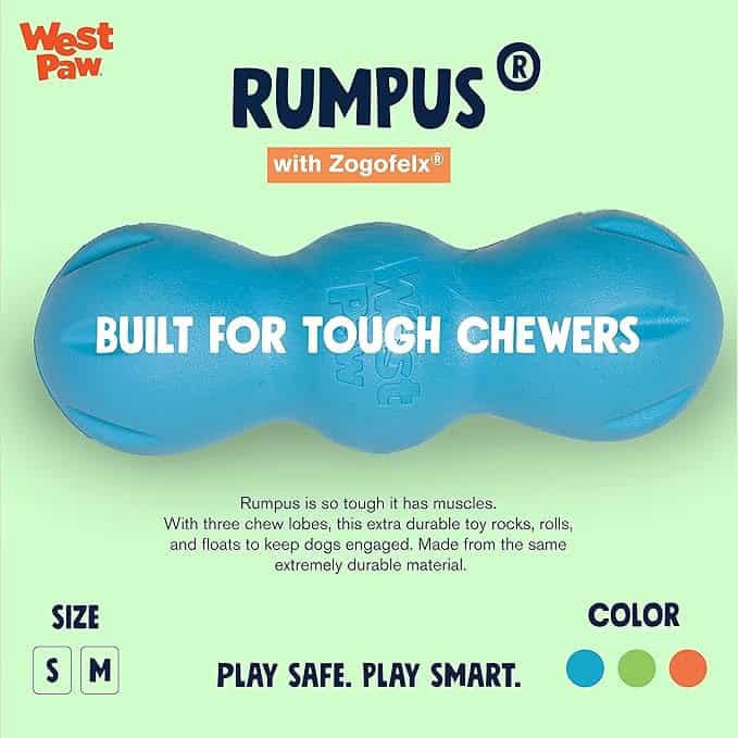 West Paw Rumpus Tough Fetch