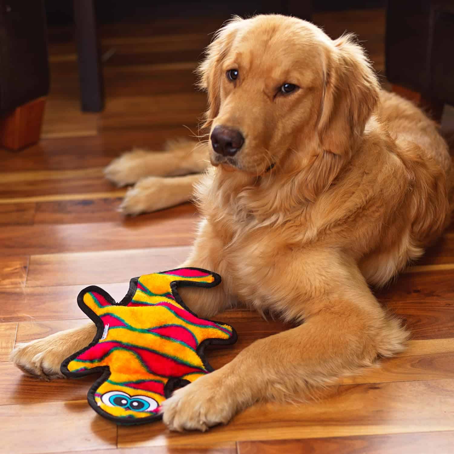 Outward Hound Dog Invincibles Gecko Red/Orange Squeaky Dog Toy