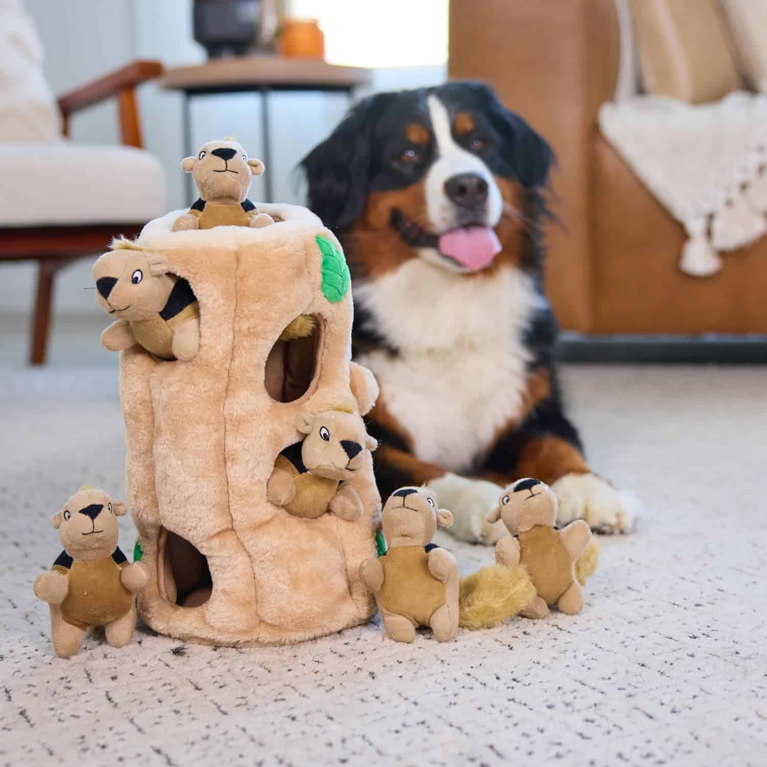 Outward Hound Dog Hide A Squirrel Plush Dog Toy Puzzle