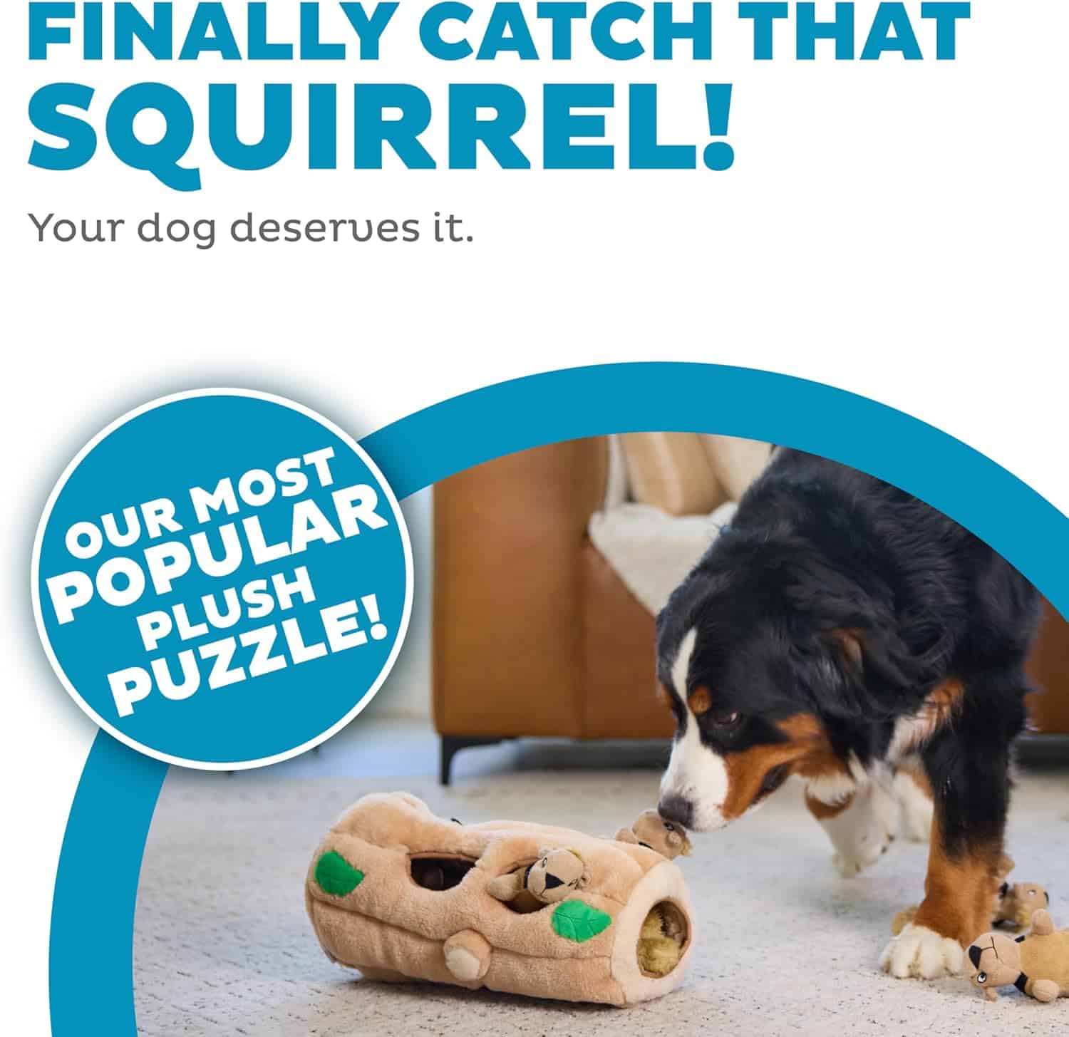 Outward Hound Dog Hide A Squirrel Plush Dog Toy Puzzle
