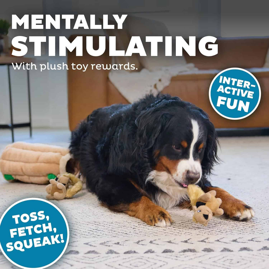 Outward Hound Dog Hide A Squirrel Plush Dog Toy Puzzle