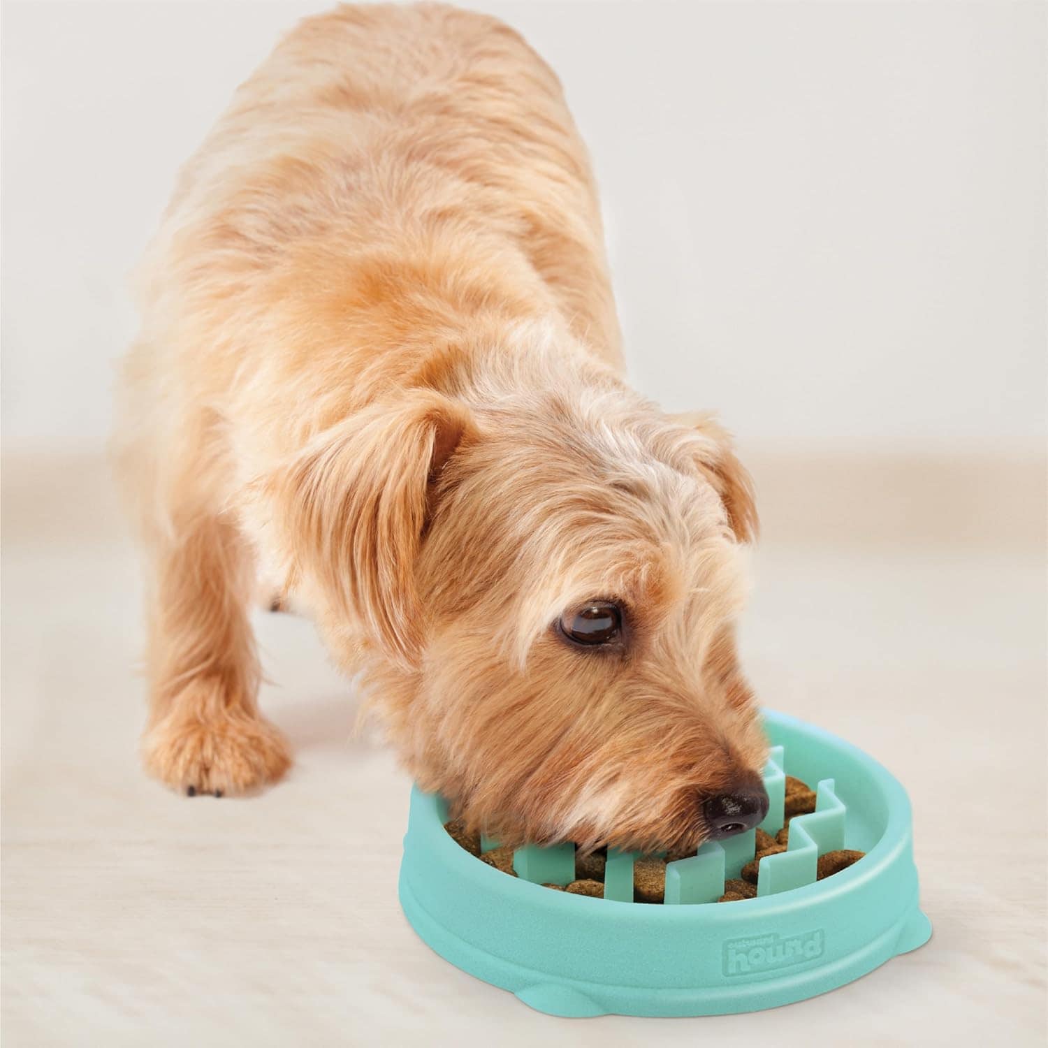 Outward Hound Fun Feeder Wave Slow Feeder Dog Bowl Extra Small - Mint