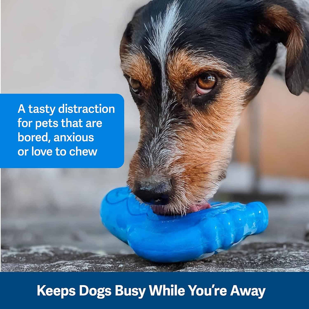 Petsafe Penguin Dog Chew Toy