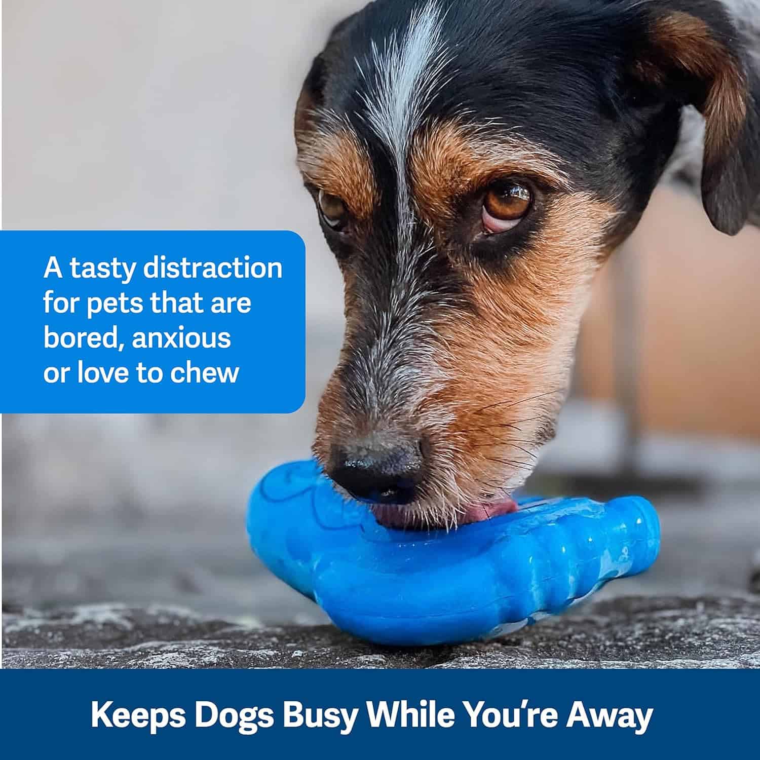Petsafe Penguin Dog Chew Toy