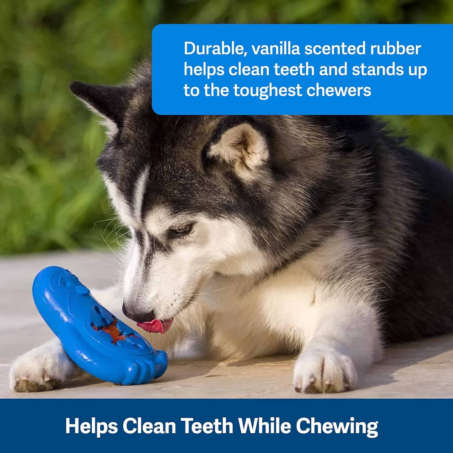 Petsafe Penguin Dog Chew Toy