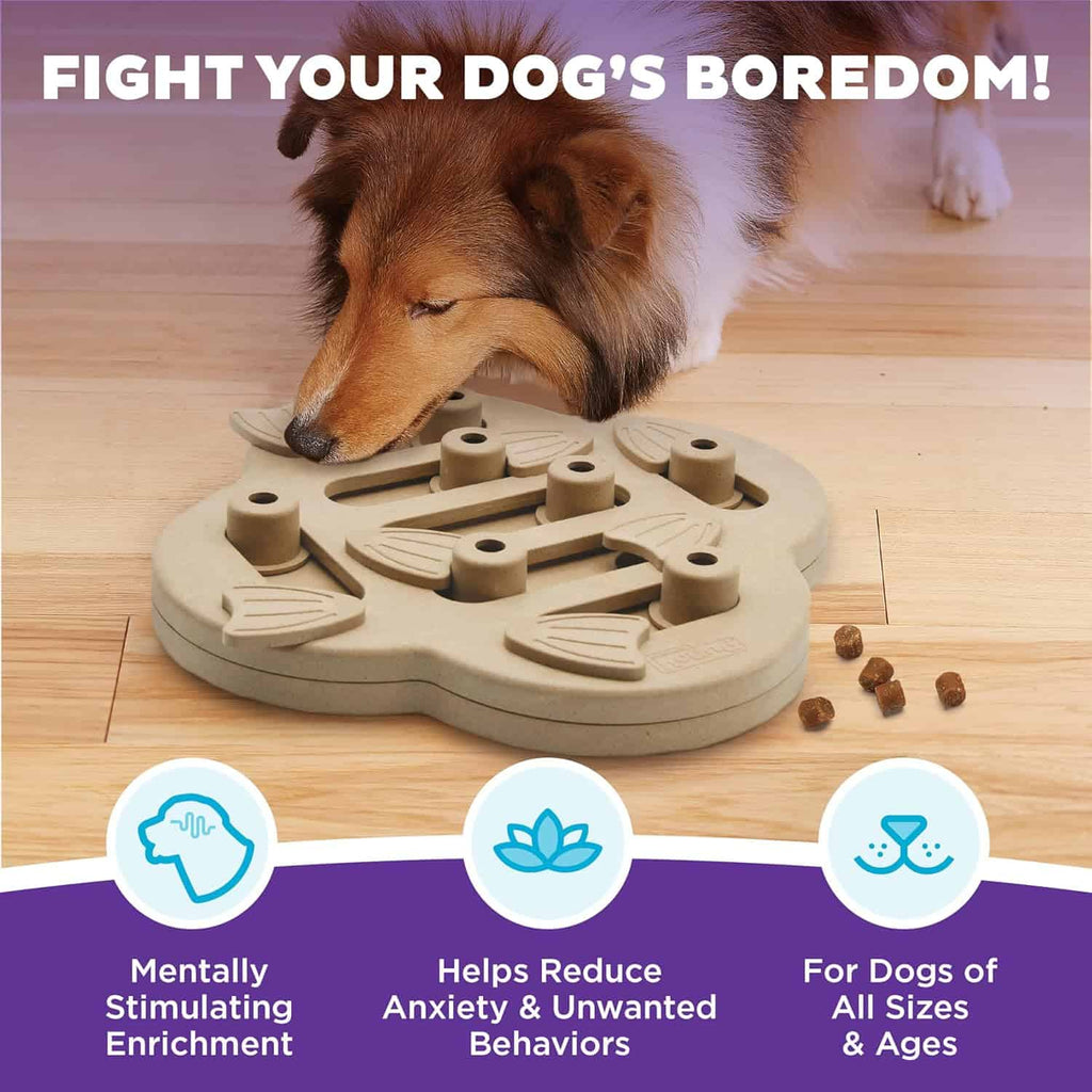 Nina Ottosson Dog Hide N' Slide Interactive Treat Puzzle Dog Toy - Tan