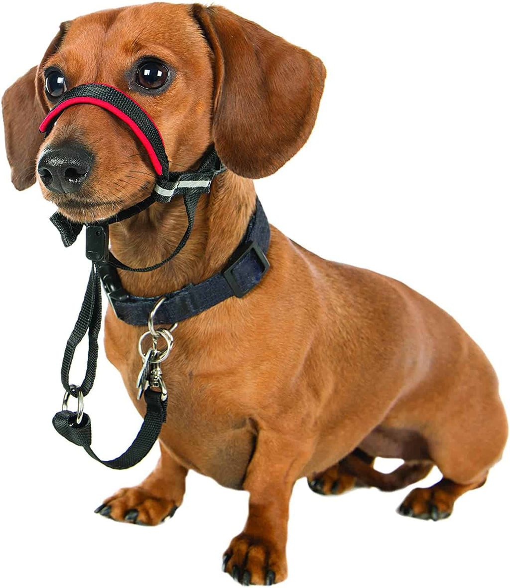 Halti Optifit Dog HeadCollar Black / Red