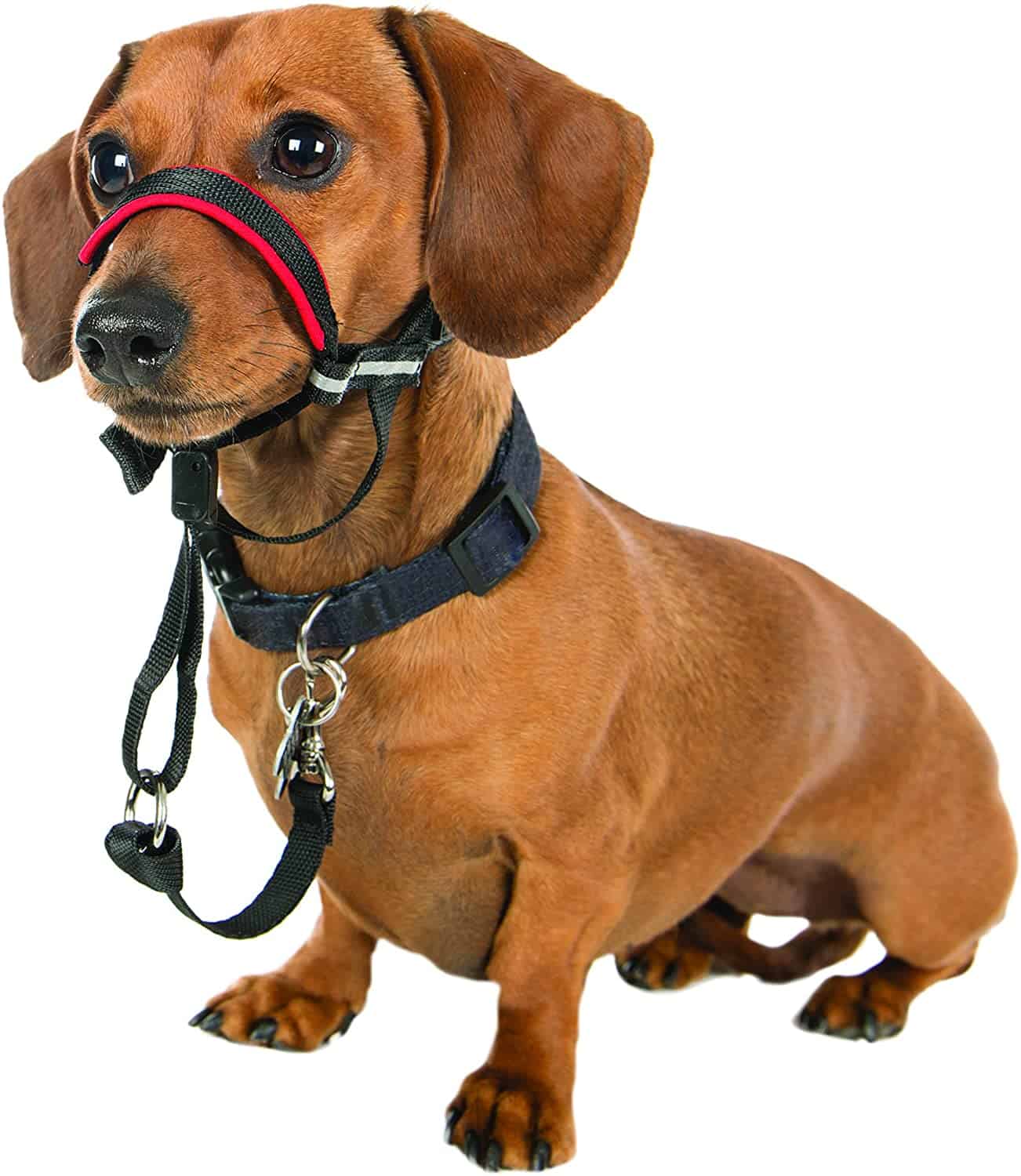 Halti Optifit Dog HeadCollar Black / Red