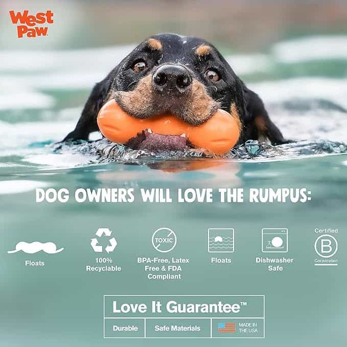 West Paw Rumpus Tough Fetch