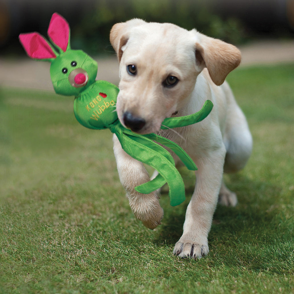 Kong Wubba Friends Ballistic Dog Toys - Assorted Colour
