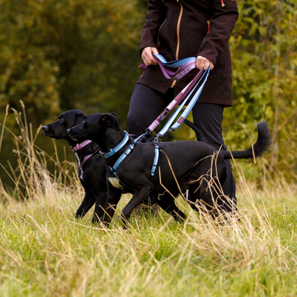 Halti Double Ended Dog Leash