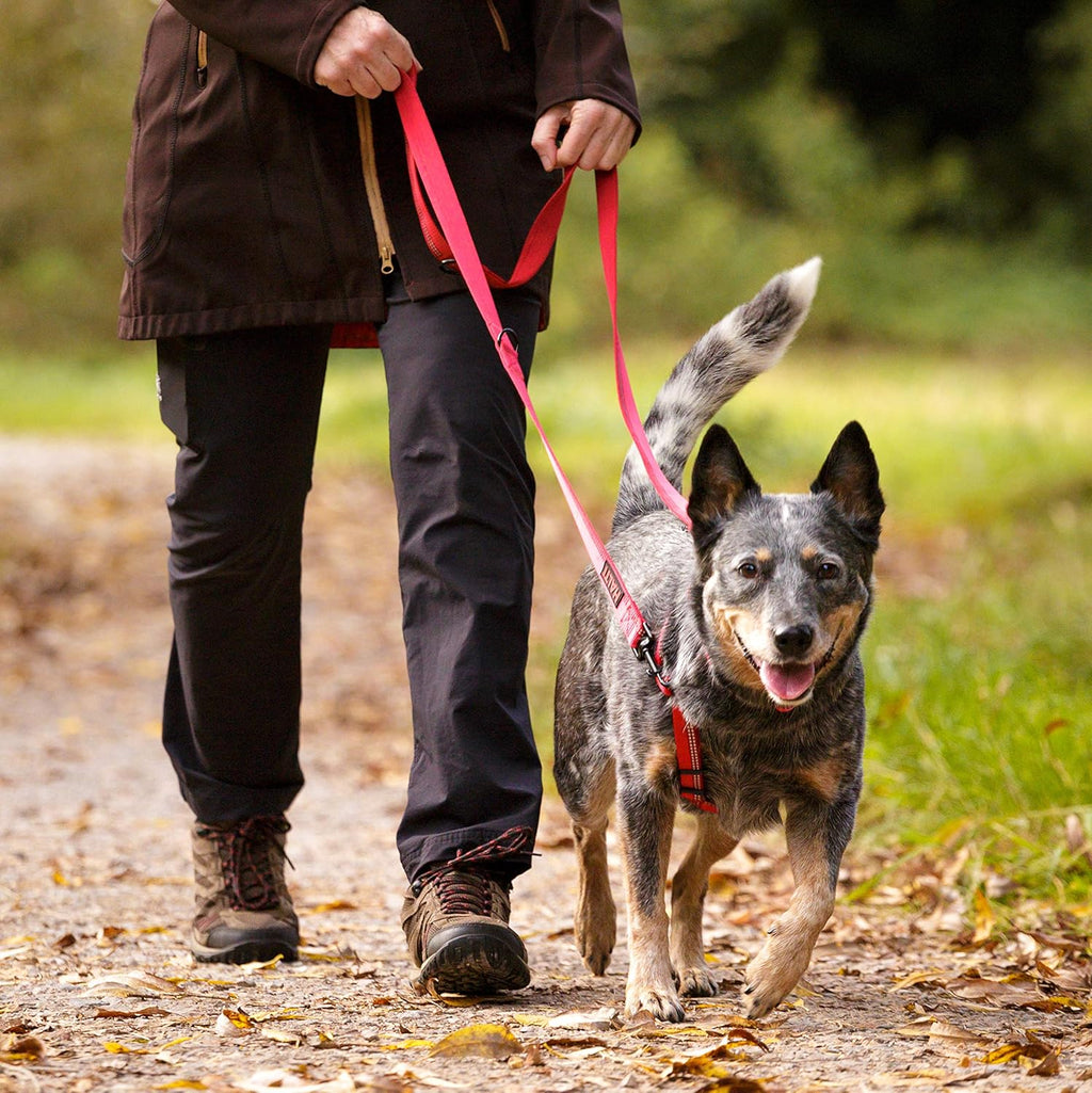 Halti Double Ended Dog Leash