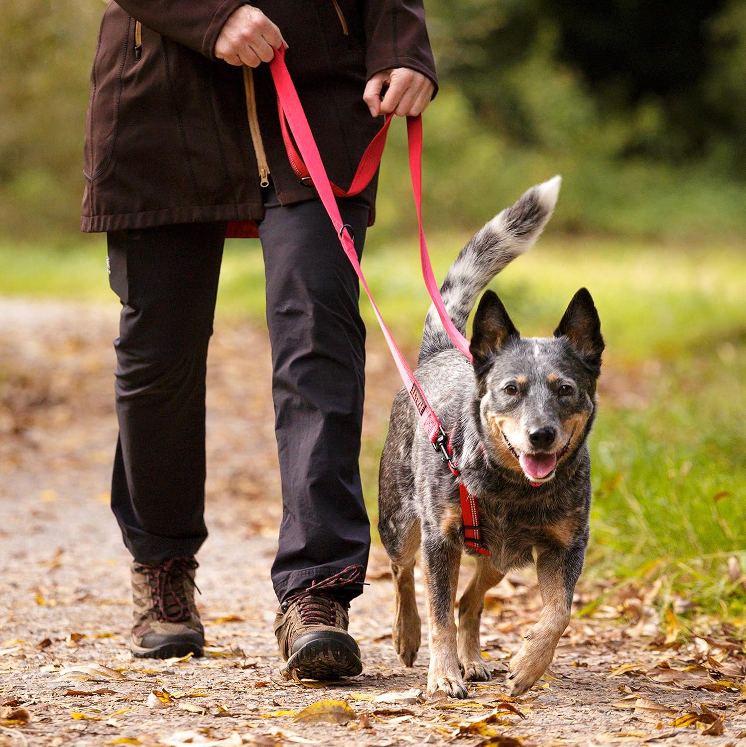 Halti Double Ended Dog Leash