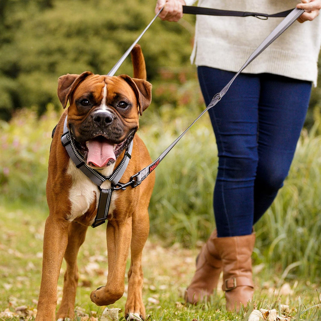 Halti Double Ended Dog Leash